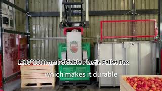 Wholesale HDPE 1200*1000mm Foldable Vented Plastic Pallet Box