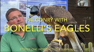 FALCONRY: Bonellis’s Eagles, episode one