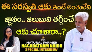 Natural Farmer Nagaratnam Naidu Farm Exclusive Interview | Journalist Anjali | Signature Studios