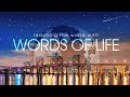 11/17/2024 |  Words of Life Church | Pastor Richard Moore