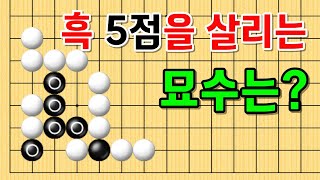 사활 바둑 묘수 - 흑 5점을 살리는 마법 같은 묘수는 어디일까요? #바둑 #사활 #바둑강좌 #묘수