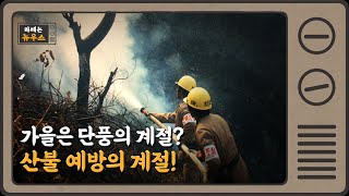 가을은 단풍의 계절? 산불 예방의 계절!