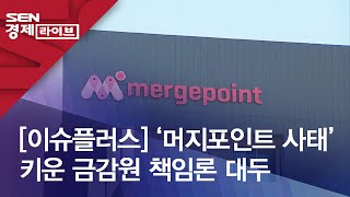 [이슈플러스] ‘머지포인트 사태’ 키운 금감원 책임론 대두