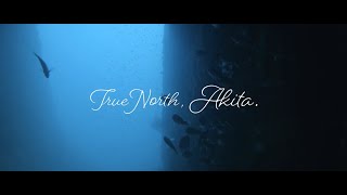 True North, Akita  #3 （男鹿半島篇）