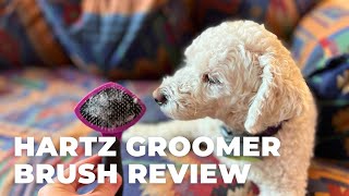 Hartz Groomer's Best Small Slicker Brush Review and Demo