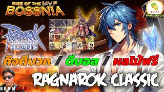 Ragnarok Classic แพทอัพใหม่เล่นอะไรดี ตีบวก ตีบอส ลองมาดู