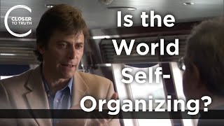 Max Tegmark - Is the World Self-Organizing?