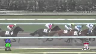 2014年 2歳新馬 /トウカイバレット