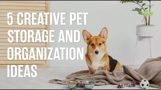 5 Creative Pet Storage \u0026 Organization Ideas