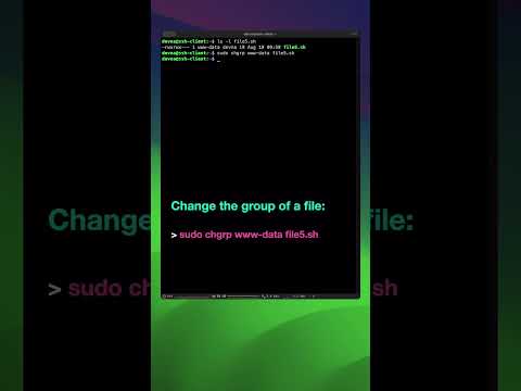 Change file and folder group ownership | Linux for beginners #shorts