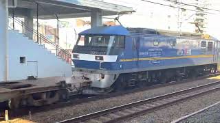 EF210 317