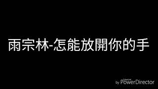 雨宗林-怎能放開你的手(歌詞)