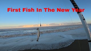 First fish in the New Year - Fishing The Holderness Coast