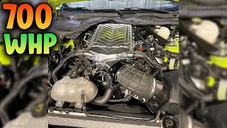 HOW TO MAKE 700 WHEEL HORSEPOWER IN A 2018-2021 MUSTANG GT! (GEN 3 COYOTE) #WHIPPLESUPERCHARGER #V8