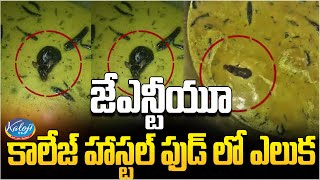 జేఎన్టీయూ కాలేజ్ హాస్టల్ ఫుడ్ లో ఎలుక..! | Rat found in Food At JNTU Boys Hostel | Kaloji TV