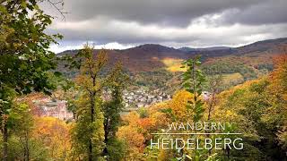 Wandern Heidelberg