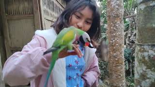 parrot talking 💜🤣😂 2