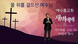 [물 위를 걸으신 예수님] 마가복음 6:45-56 , 예수품교회 화요 새벽 말씀_ 이영무 목사 (24.12.3)