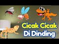 Lagu Cicak Di Dinding Indonesia | Lagu Anak Indonesia Populer | Ceria Kids Song