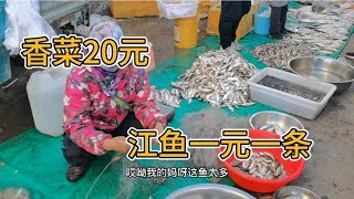 东北当地早市真热闹，猪肉涨价，香菜20元，江鱼一元一条遭疯抢