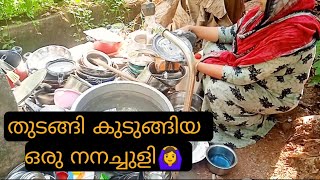 ഒരു ബല്ലാത്ത ജാതി നനച്ചുളി 🙆‍♀️/haifa kitchen/home cleaning/kitchen cleaning/ullivada recipe