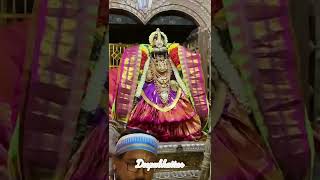 srirangam ranagantha swamy panguni Utsavam