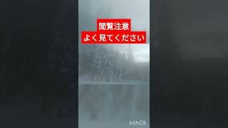 【閲覧注意】注意してよく見てみると