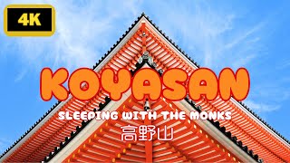 Experience Temple Lodging, Koyasan Shukubo, 48 hours in Mount Koya, Japan UNESCO World Heritage Site