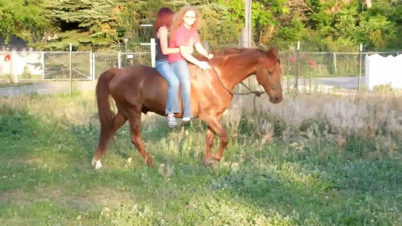Riding Double Bareback Youtube