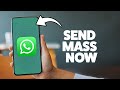 How To Send Mass Messages On WhatsApp 2025 (iPhone & Android)
