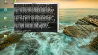 Java - Setting up on Linux Mint