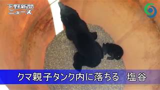 クマ親子タンク内に落ちる 塩谷