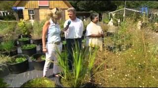 Ayurveda centrum kruidentuin RTV Oost