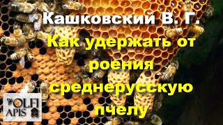 #Кашковский В.Г. Как удержать от роения среднерусскую пчелу ???