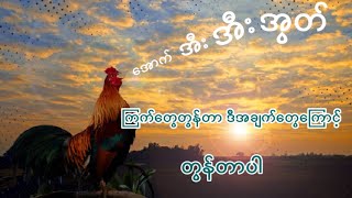 ကြက်ဖ၊ကြက်မတွေဘာကြောင့်တွန်ရတာလဲ..?