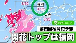 第四回桜開花予想　3月17日に福岡から開花スタート