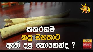 කතරගම කපු මහතාට ඇත් දළ කොහෙන්ද ? - Hiru News