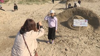 '한국의 사막'에 펼쳐진 모래조각 예술 경연 / 연합뉴스TV (YonhapnewsTV)