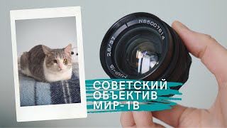 soviet lens MIR-1B on Lumix GH5 and Nikon D5300 through adapter | TEST