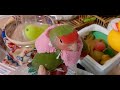 jrシュシュボロボロ　小桜インコ　我が家の天使たち5羽【エリザベスカラー】