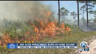 Jonathan Dickinson State Park prescribed burn