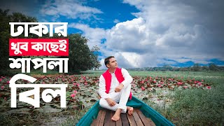 ঘুরে আসুন ঢাকার খুব কাছে পদ্ম-শাপলা বিলে | Poddo Shapla Bill | Rupganj | Narayanganj | Dhaka