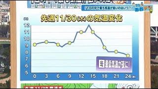 【あおテン】「1日の中で最も気温が低いのは朝…しかし11/30は夜が最低気温に!?」最低気温の仕組みを TSS青坂気象予報士が分かりやすく解説