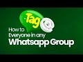 HOW TO TAG EVERYONE IN A WHATSAPP GROUP: Easy  #WhatsAppGroupTagging #WhatsAppTutorial #shortsfeed