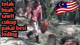 BERBEDA‼cara melangsir buah sawit di malaysia dan indonesia