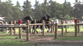 4 span paarden Marathon CAI-A Beekbergen 2013