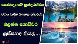 Beauty Of Nature | සොබාදහමේ සුන්දරත්වය | nature