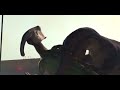 Jurassic World chaos theory [2024-2025] grey suchomimus screen time 