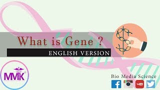 What is Gene ? Crash Course English Version