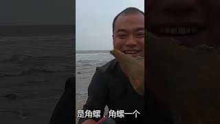 海货被大浪拍打上岸，大熊的秘密基地全是值钱靓货，没白出来一趟